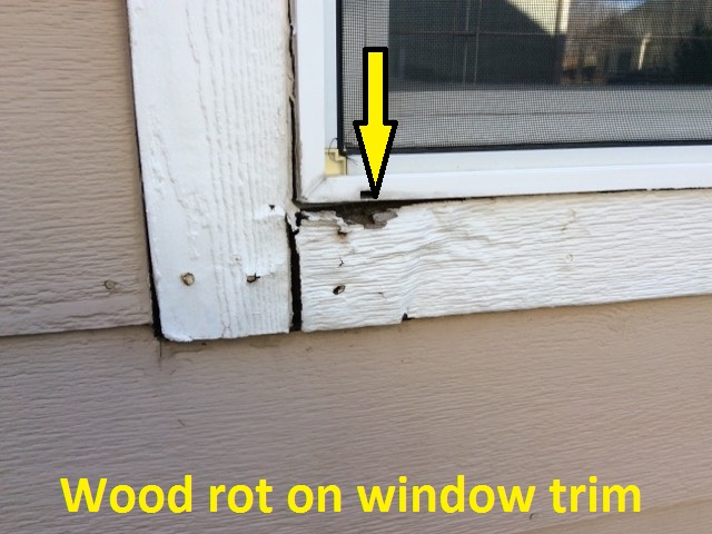 Exterior-wood-rot-1
