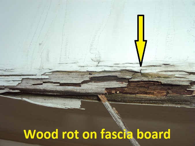 Exterior-wood-rot-2
