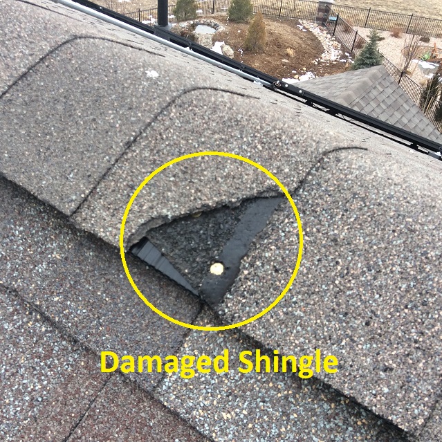 Roof-shingle-damaged